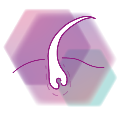 Icon Haar
