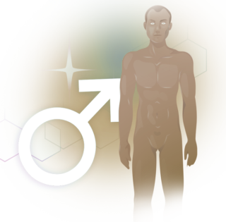 Bannerbild Männer