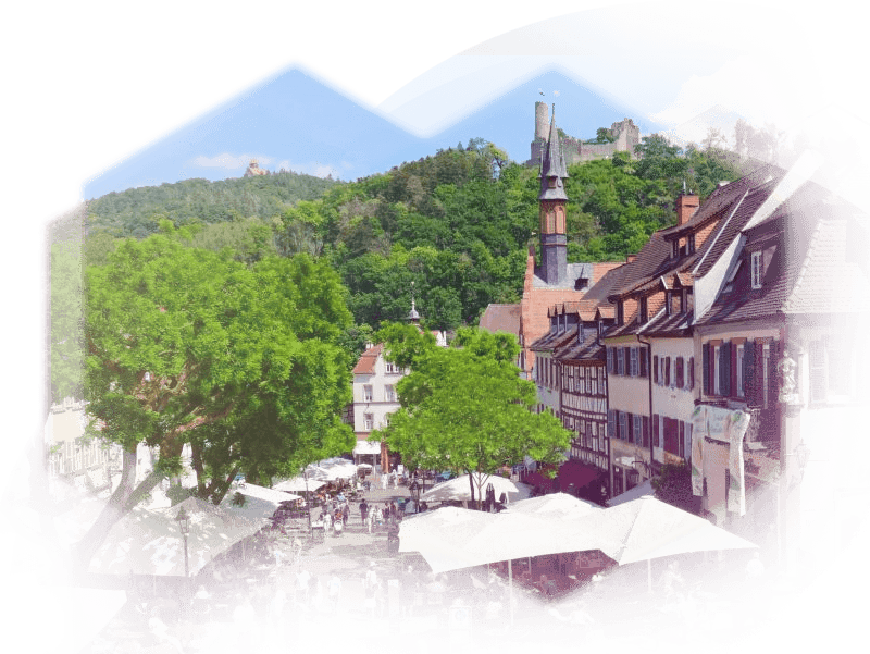 Blick auf Weinheim