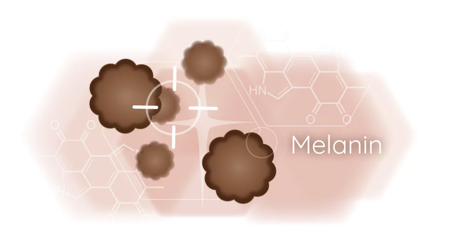 Infografik Melanin