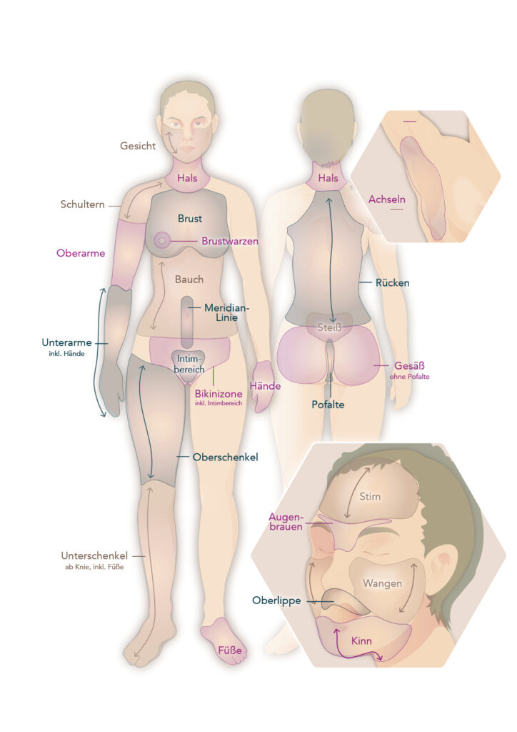 Infografik Körperregionen bei der Frau